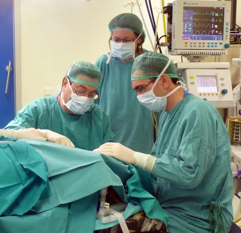 Las Urgencias del Hospital Costa del Sol atienden este verano a diario a un mayor número de pacientes que en la misma época de los últimos dos años
