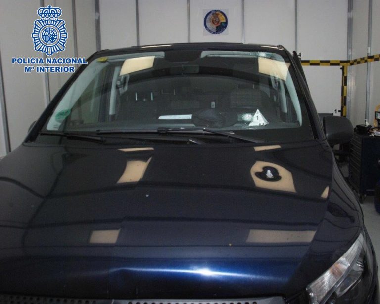 20211111 Foto coche sueco