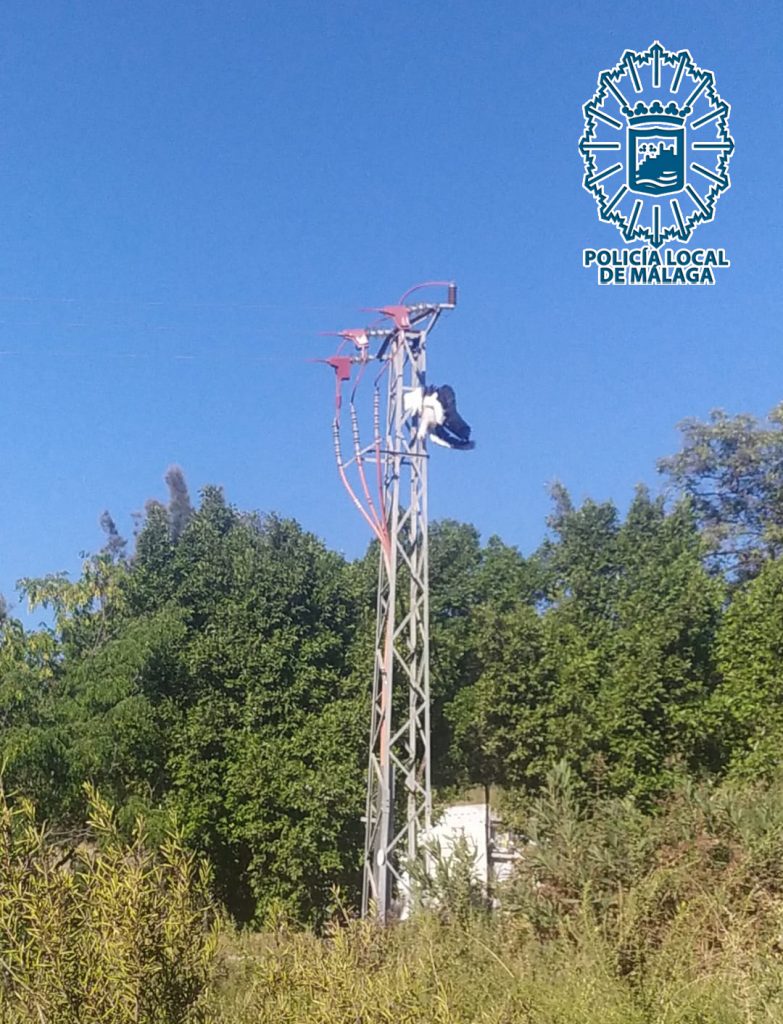 VIDEO – AGENTES DEL GRUPRONA DE LA POLICÍA LOCAL DE MÁLAGA DENUNCIAN UN PUNTO DE ALTA MORTANDAD DE CIGÜEÑAS POR PRESUNTA ELECTROCUCIÓN