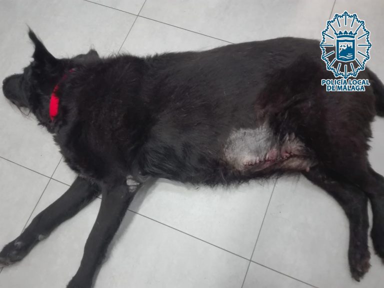Después de ser intervenida quirúrgicamente