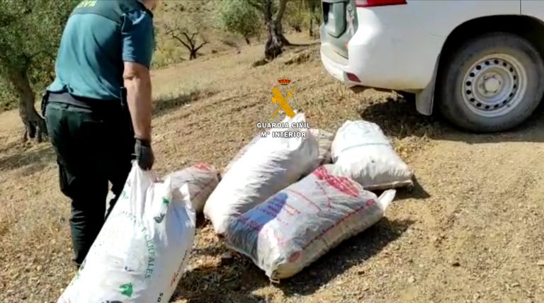 La Guardia Civil desarticula una organización criminal dedicada a la receptación y venta de frutos del campo sustraídos