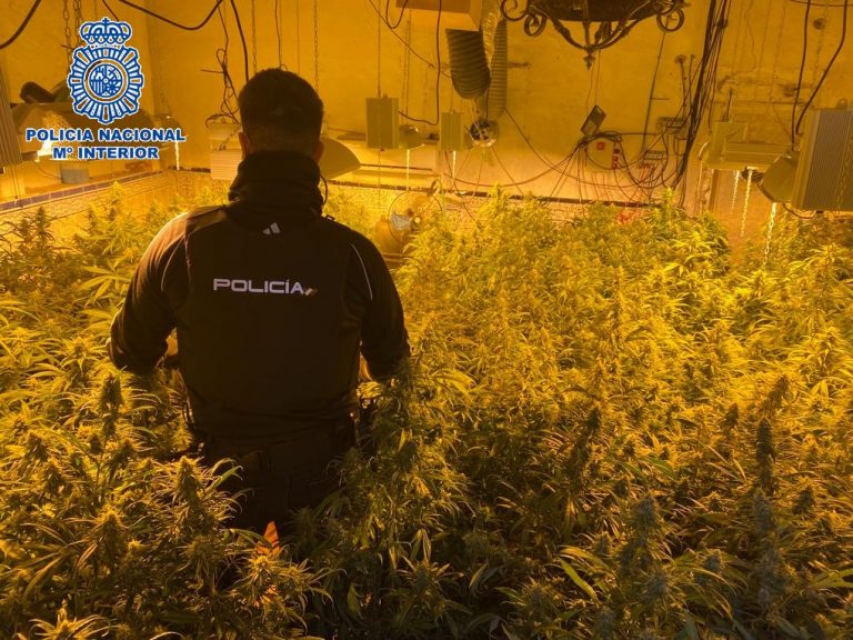 20220309 Foto I Marihuana