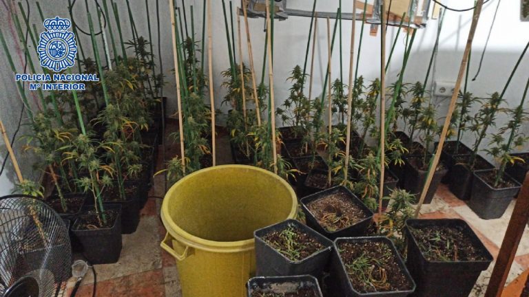 20220329 Plantacion Vélez
