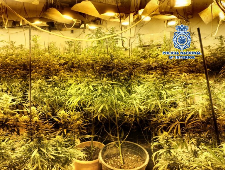 20220530 foto plantación (1)