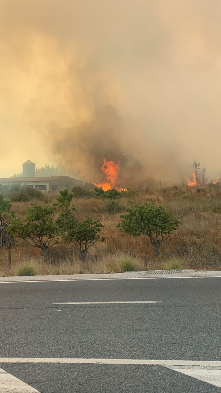 Imagen asociada al incendio forestal de Entre Ríos en Mijas