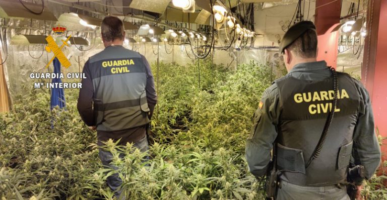 Imagen asociada a una operación de la Guardia Civil contra el cultivo de marihuana