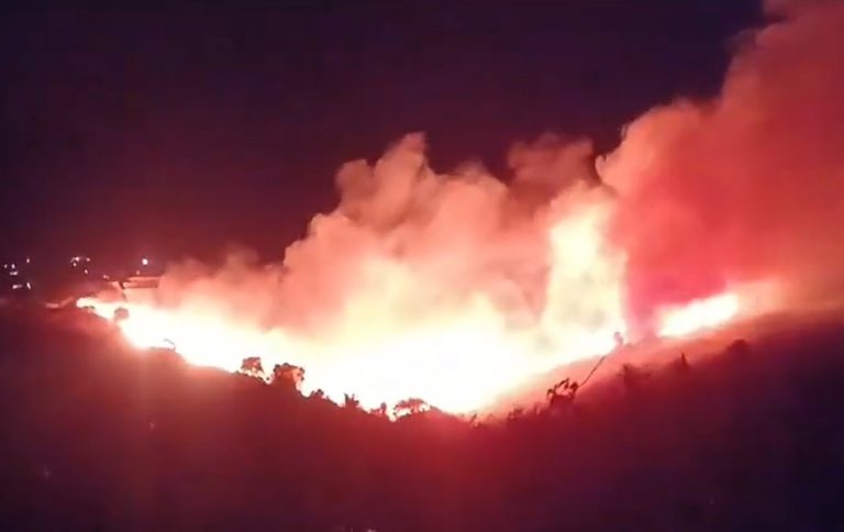 Incendio forestal, imagen de recurso