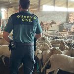 VIDEO – La Guardia Civil rescata a 111 animales en Málaga en una operación contra el maltrato y el abandono