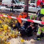 Una mujer de 57 años de edad ha resultado herida al caerle una rama de un árbol en la calle Don Juan de Austria en Málaga