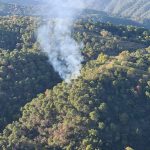 Extinguido un incendio forestal en Benahavis