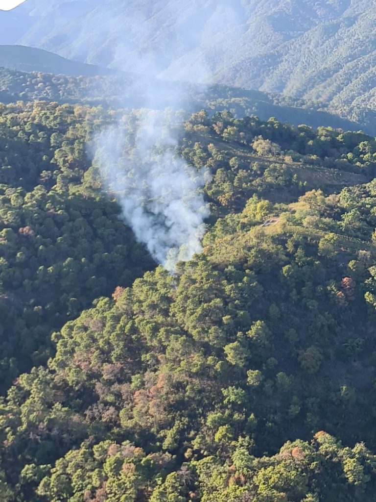 Incendio forestal en Benahavís, imagen de recurso