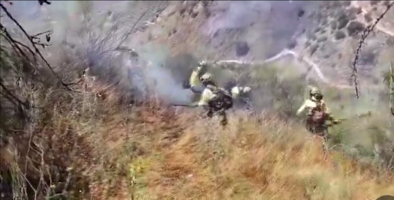 Incendio forestal en Canillas de Aceituno, imagen de recurso
