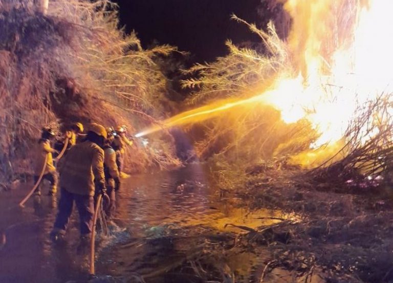 Incendio forestal en Guaro, imagen de recurso