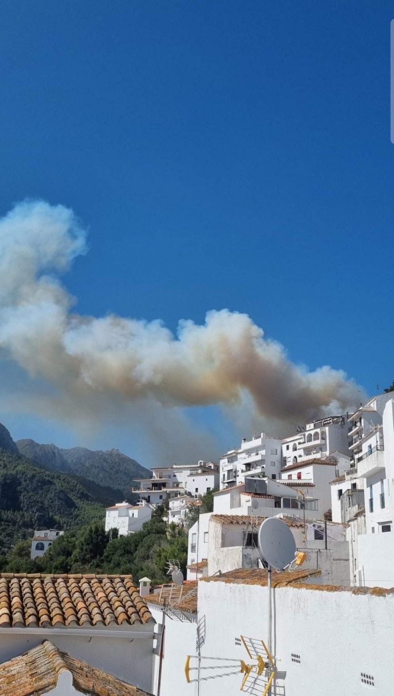 Incendio forestal en Casares, imagen de recurso
