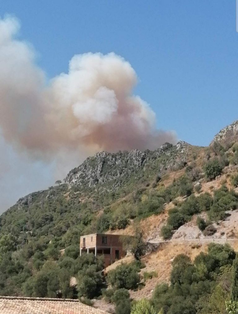 Incendio forestal en Sierra Crestellina, imagen de recurso