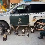 La Guardia Civil interviene nueve trofeos de caza mayor sin documentación en Álora