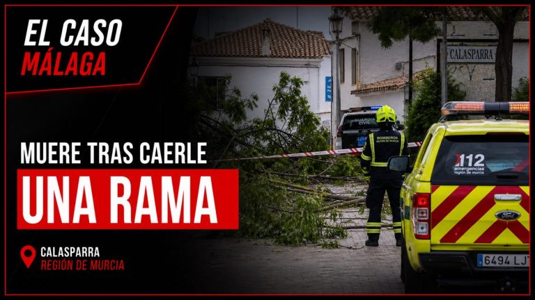 Portada editorial de El Caso Málaga para «Muere un hombre de 60 años tras caerle una rama de un árbol en Calasparra»
