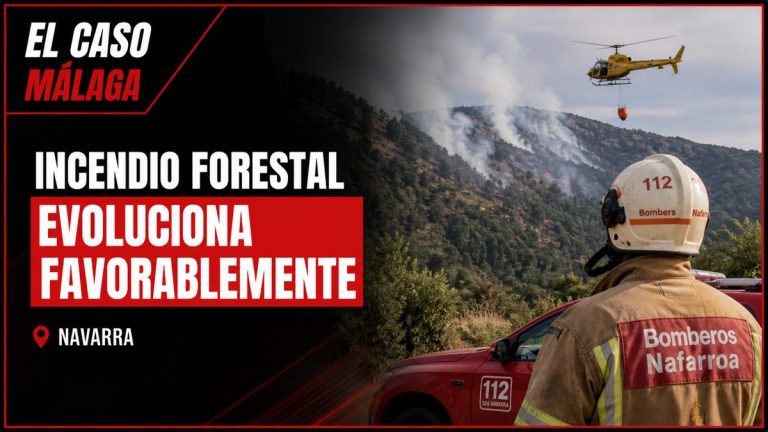 Portada editorial de El Caso Málaga para «El incendio forestal de Urzainki evoluciona favorablemente sin riesgo para la población»