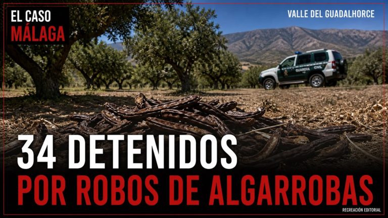 Recreación editorial: 34 DETENIDOS POR ROBOS DE ALGARROBAS
