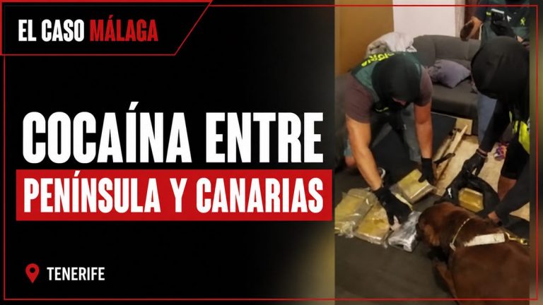 Portada con fotografía de la noticia: COCAÍNA ENTRE PENÍNSULA Y CANARIAS. TENERIFE.