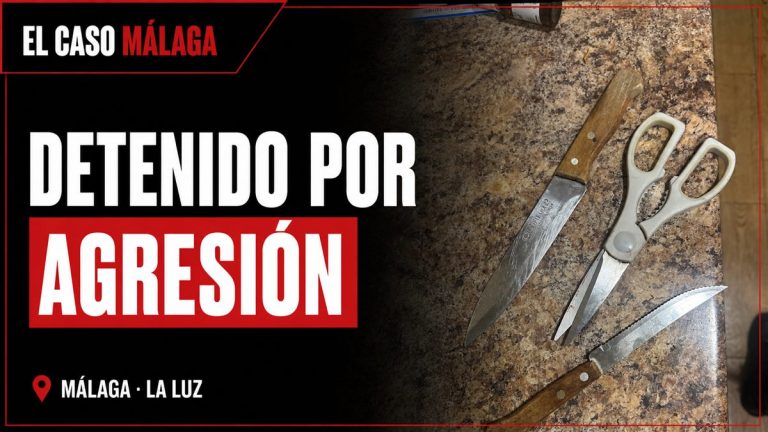 Fotografía de la noticia: DETENIDO POR AGRESIÓN. MÁLAGA · LA LUZ.