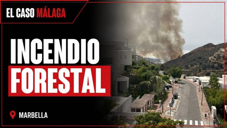 Incendio forestal en Marbella: portada basada en la fotografía de la noticia.