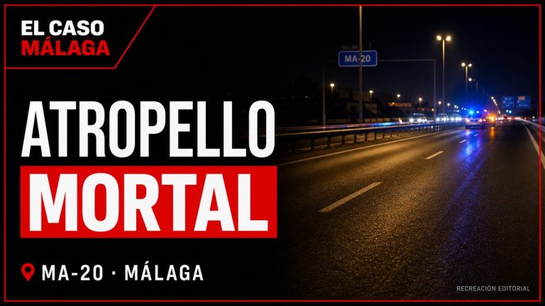 Recreación editorial: Muere un hombre atropellado en Málaga capital