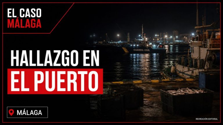 Recreación editorial: Rescatan del agua el cuerpo sin vida de un hombre en el Puerto de Málaga
