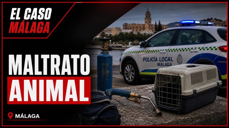 Recreación editorial para la noticia: LA POLICÍA LOCAL DE MÁLAGA IDENTIFICA A TRES INDIVIDUOS POR PRESUNTO MALTRATO ANIMAL TRAS SORPRENDERLOS QUEMANDO A ERIZOS CON UN SOPLETE DE SOLDADURA