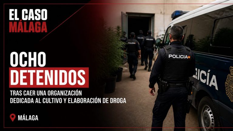 Portada editorial de El Caso Málaga para «Ocho detenidos tras caer una organización dedicada al cultivo y elaboración de droga»