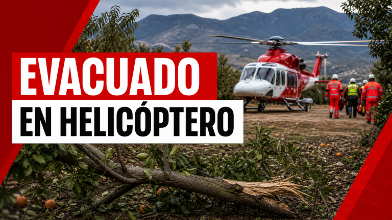 Evacuado en helicóptero tras caerle un tronco mientras podaba en Alozaina