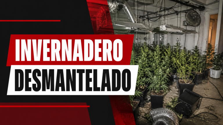 Punto de venta de droga e invernadero de marihuana desmantelados en Portada Alta