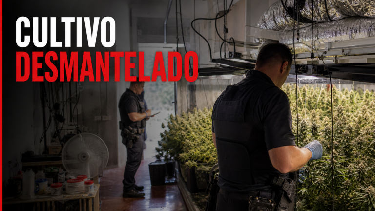 Operación contra el cultivo y distribución de marihuana en Alameda, Málaga