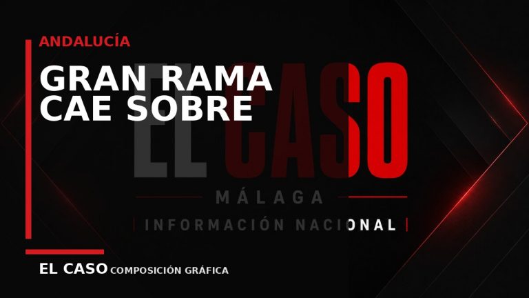Composición gráfica editorial de El Caso Málaga sobre Una gran rama cae sobre un coche en el barrio de La Encarnación de Málaga