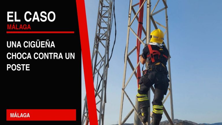 Portada editorial de El Caso Málaga: una cigüeña choca contra un poste — MÁLAGA