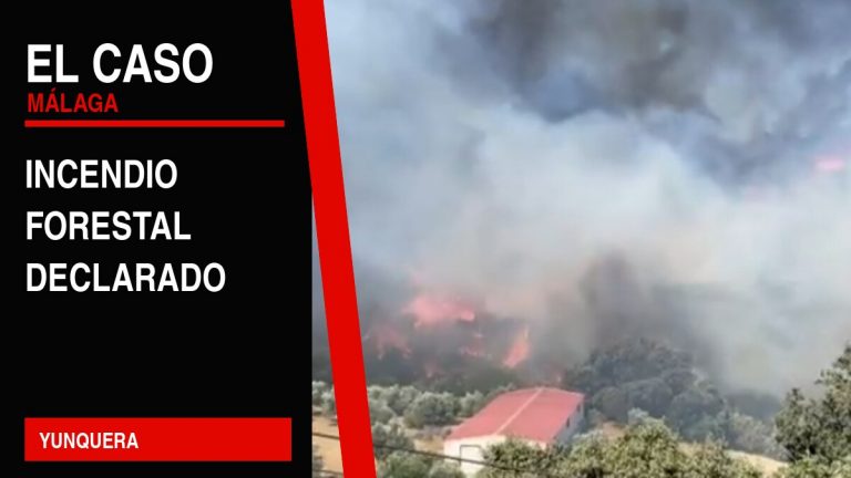 Portada editorial de El Caso Málaga: incendio forestal declarado — YUNQUERA
