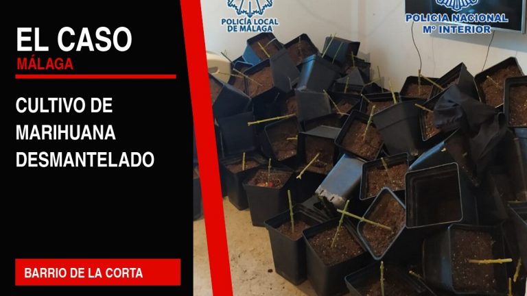 Portada editorial de El Caso Málaga: cultivo de marihuana desmantelado — BARRIO DE LA CORTA
