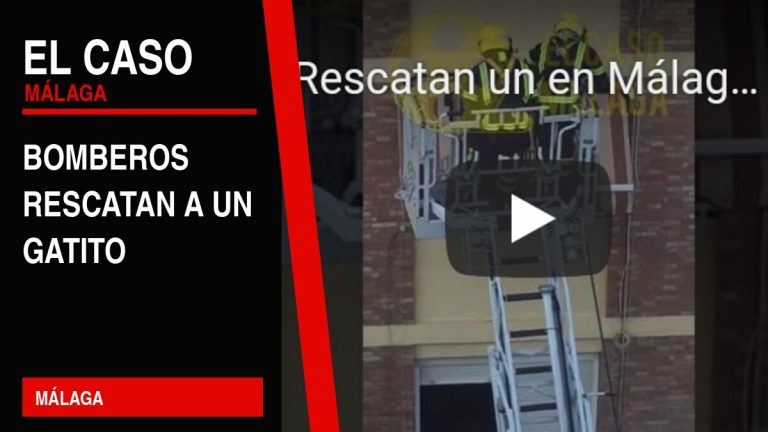 Portada editorial de El Caso Málaga: bomberos rescatan a un gatito — MÁLAGA