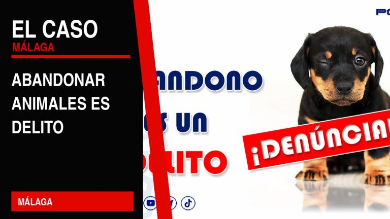 Portada editorial de El Caso Málaga: abandonar animales es delito — MÁLAGA