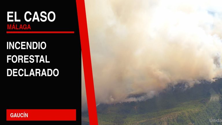 Portada editorial de El Caso Málaga: incendio forestal declarado — GAUCÍN