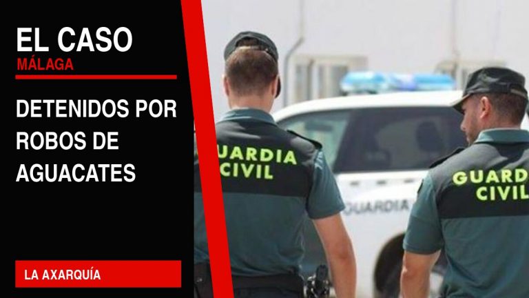 Portada editorial de El Caso Málaga: detenidos por robos de aguacates — LA AXARQUÍA