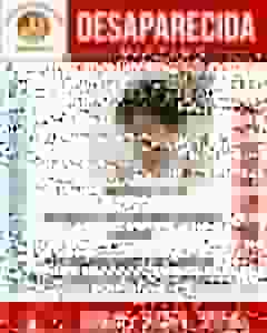 Cartel público de búsqueda de Brianna L. H., niña de 4 años desaparecida en Elche el 3 de septiembre de 2026