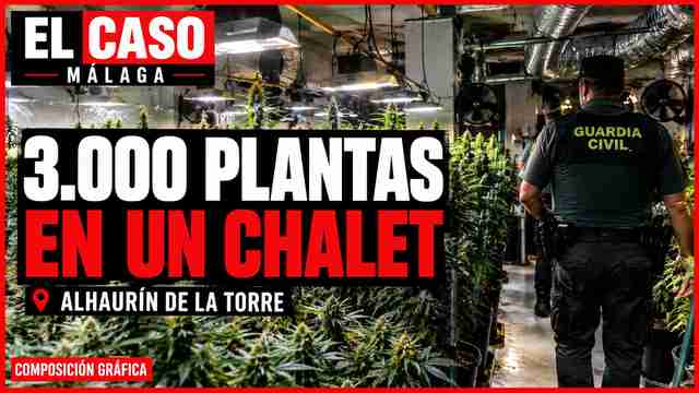 Portada de El Caso Málaga: 3.000 plantas en un chalet en Alhaurín de la Torre