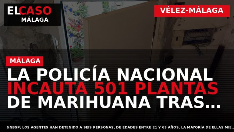 Portada El Caso Málaga: LA POLICÍA NACIONAL INCAUTA 501 PLANTAS DE MARIHUANA TRAS DESMANTELAR TRES — VÉLEZ-MÁLAGA