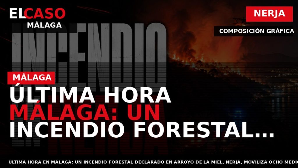 Portada El Caso Málaga: ÚLTIMA HORA MÁLAGA: UN INCENDIO FORESTAL EN NERJA MOVILIZA OCHO MEDIOS — NERJA