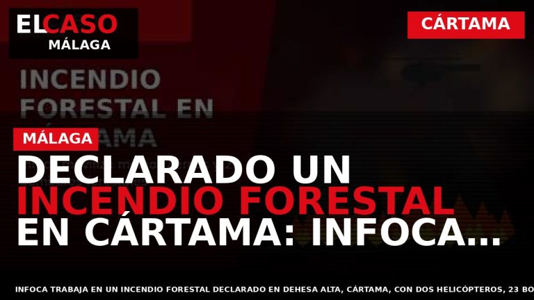 Portada El Caso Málaga: DECLARADO UN INCENDIO FORESTAL EN CÁRTAMA: INFOCA MOVILIZA MEDIOS AÉREOS Y — CÁRTAMA