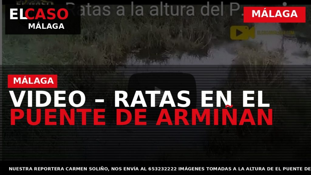 Portada El Caso Málaga: VIDEO – RATAS EN EL PUENTE DE ARMIÑAN — MÁLAGA