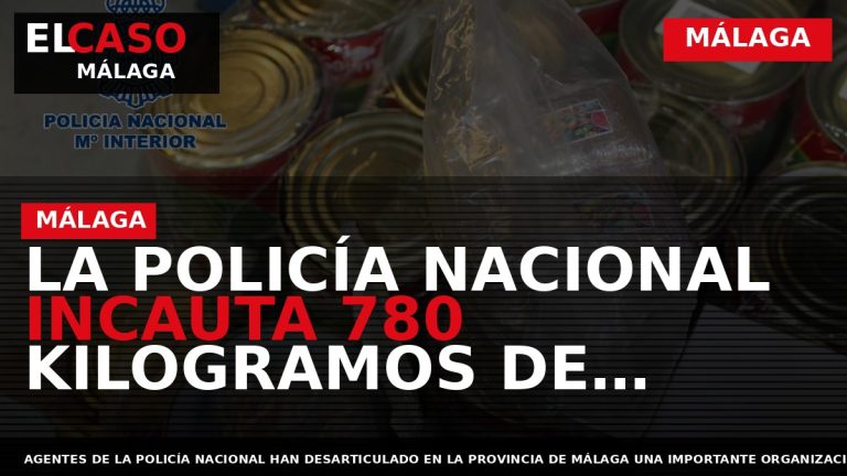 Portada El Caso Málaga: LA POLICÍA NACIONAL INCAUTA 780 KILOGRAMOS DE POLEN DE HACHÍS OCULTOS — MÁLAGA