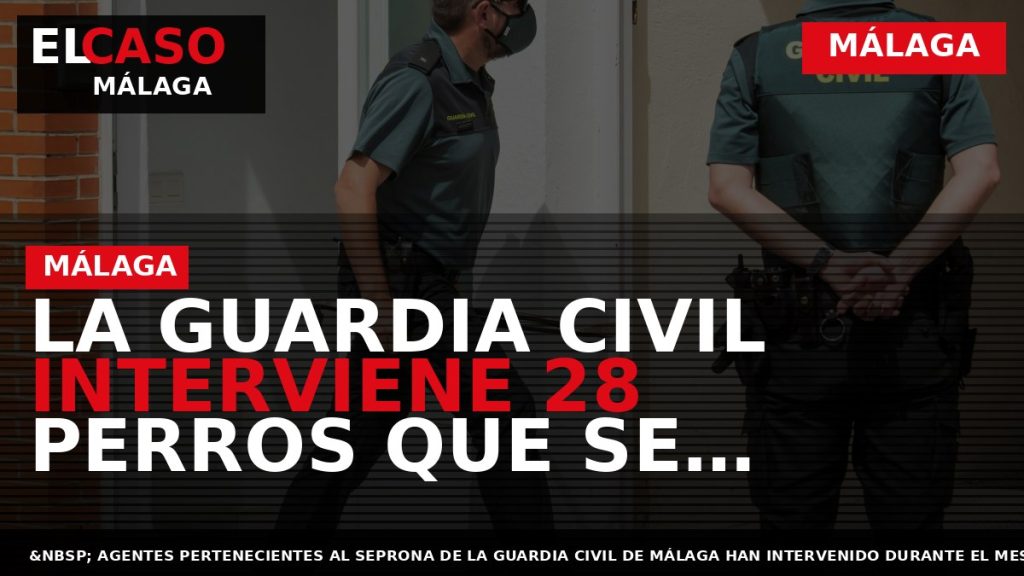 Portada El Caso Málaga: LA GUARDIA CIVIL INTERVIENE 28 PERROS QUE SE ENCONTRABAN EN PÉSIMAS — MÁLAGA