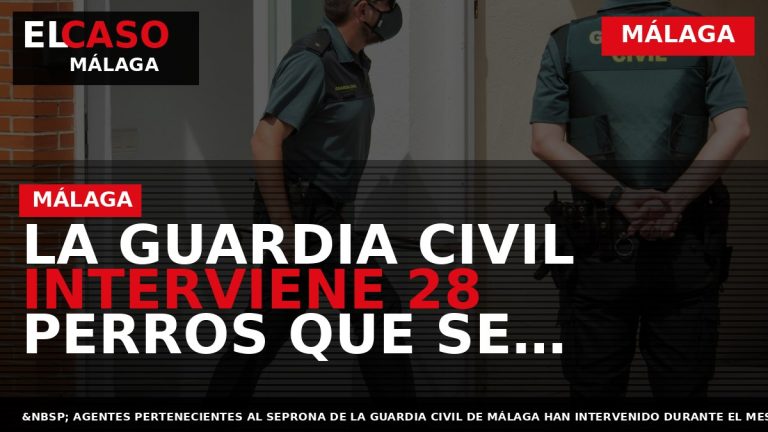 Portada El Caso Málaga: LA GUARDIA CIVIL INTERVIENE 28 PERROS QUE SE ENCONTRABAN EN PÉSIMAS — MÁLAGA